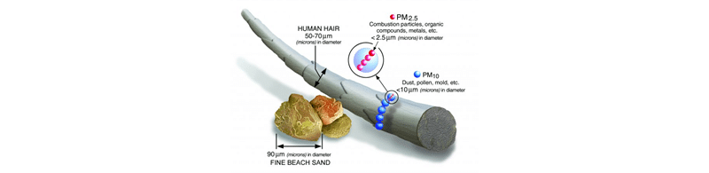 A comparison of airborne particulate matter and a human hair