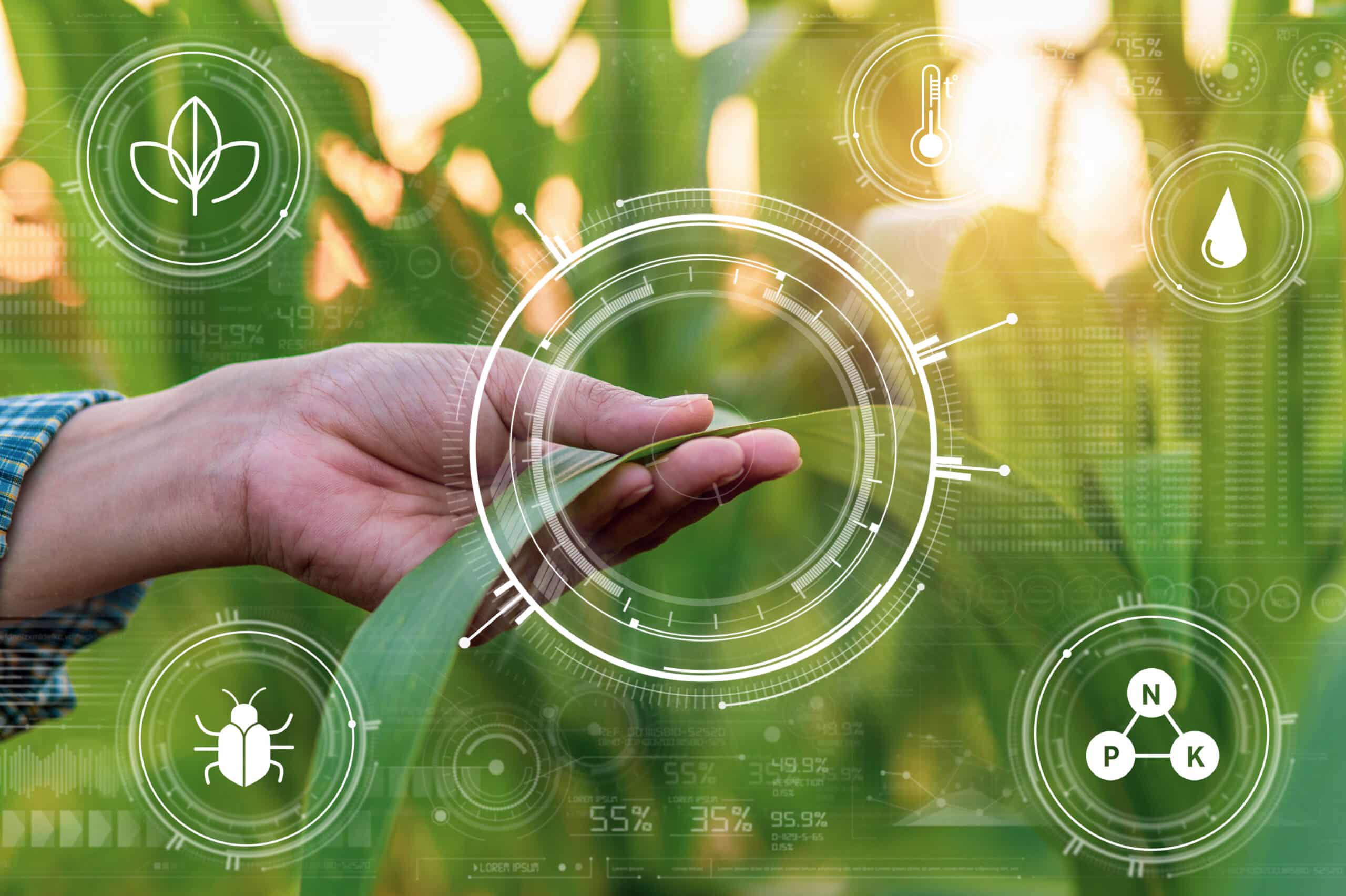 Smart farming with IoT and machine learning pest and plant health identification with AI