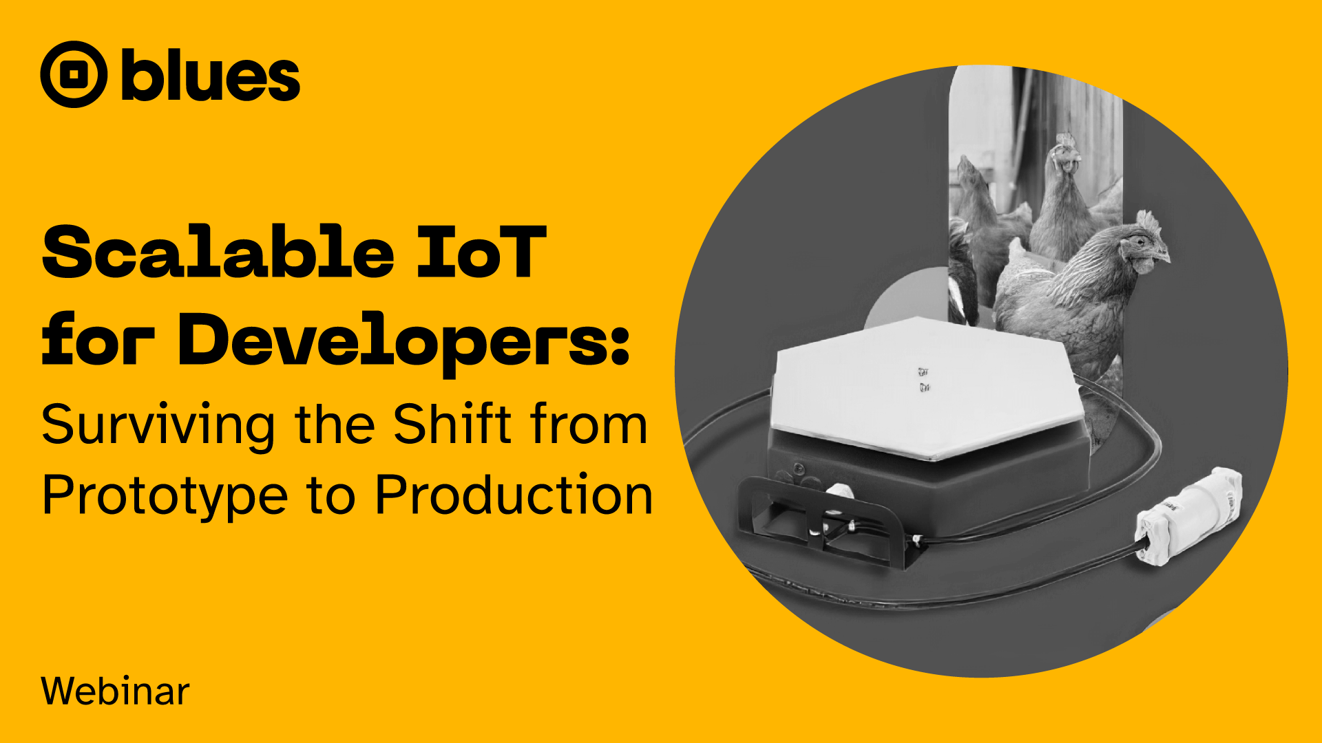 No Strings Attached: Disruptive IoT Products from Blues Partners